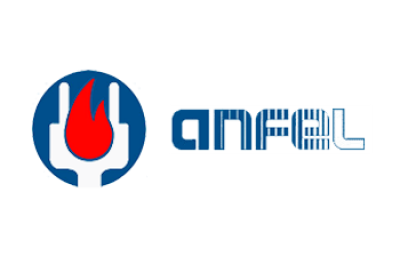 logo anfel
