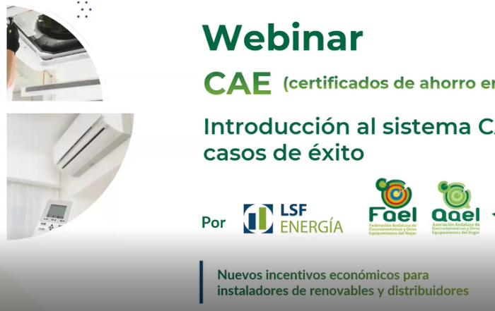 MINIATURA WEBINAR CAE